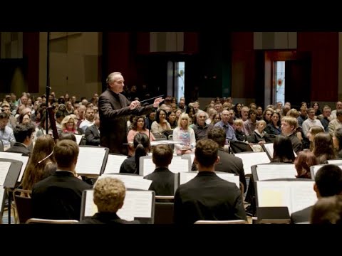 Shimmering Sunshine | Day