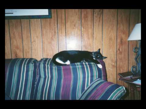 In Memory of Mary Frances