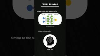 Introduction to Deep Learning | What is Deep Learning?