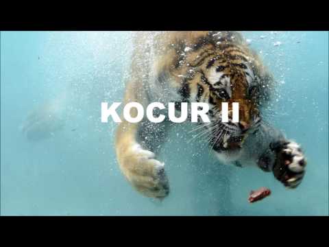 DAWOL X KML - KOCUR II