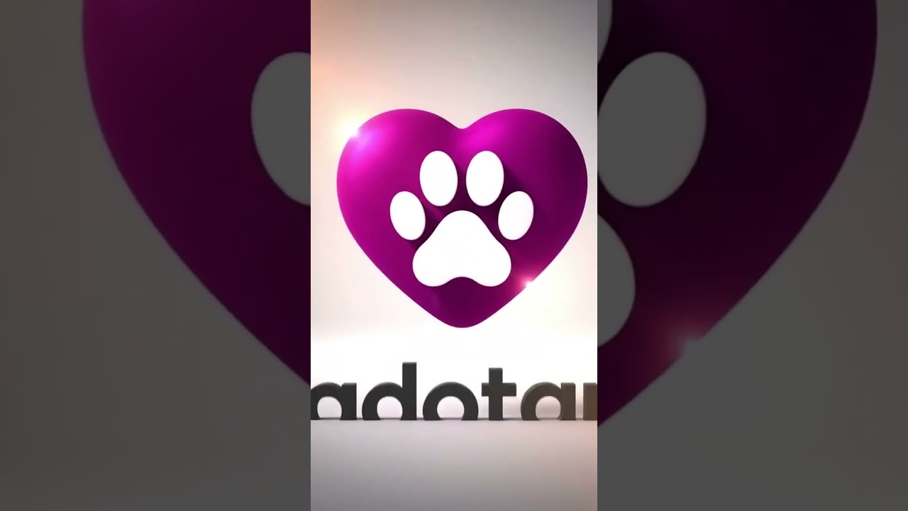 Cachorro raça SRD-ViraLata idade 4 anos nome Scooby