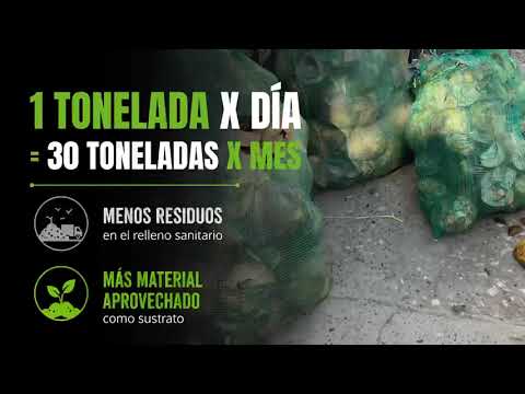 Proyecto sustrato de coco Cartagena Bolivar Colombia
