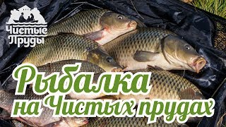Платная рыбалка киров чистые пруды