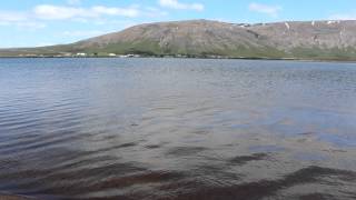 preview picture of video 'Lake Laugarvatn, Iceland - arctic char and brown trout fishery'