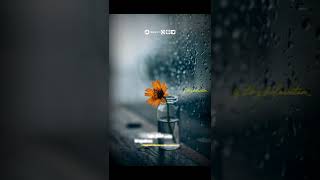 Download lagu Thola'al Badru, Mahallul Qiyam #StoryWA mp3 Download lagu Thola'al Badru, Mahallul Qiyam #StoryWA mp3