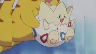 トゲピー アニメ 人気動画まとめ 無料ブログパーツ配布