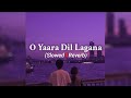 O Yaara Dil Lagana -(Slowed+Reverb) From- 