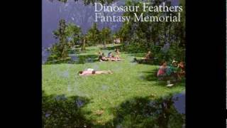 Dinosaur Feathers - Fantasy Memorial