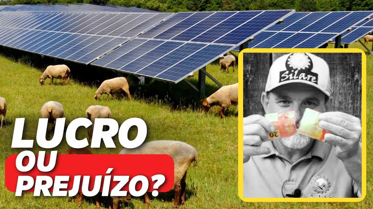 O que ninguém fala sobre ENERGIA SOLAR