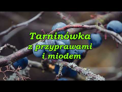 Tarninówka z przyprawami i miodem.