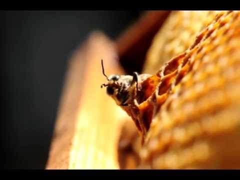 Come aumentare il flusso di sangue nella colonna vertebrale cervicale Perché un mal di collo dopo un pasto