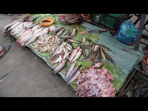 Amazing Street Food Near Garment Factory - Walking Around Street Food Near Sam Hanh Market