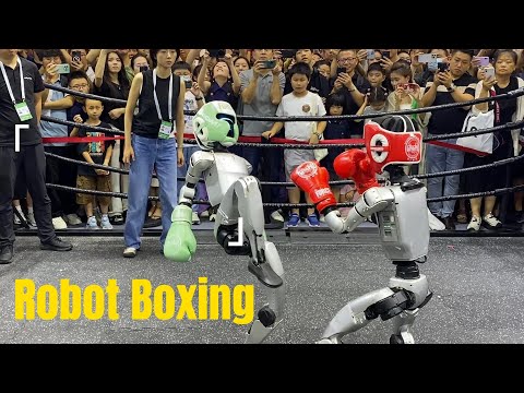 Humanoid robots slugging it out in next-gen fight club