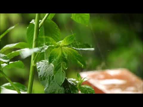 Peaceful Life Relaxing Music, Healing Music, Sleep Meditation, Khmer Flute Sound(Sleep Music)