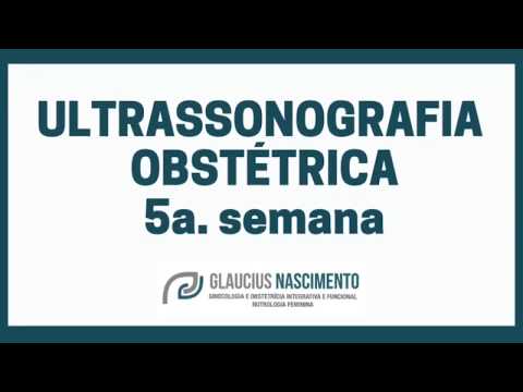 163. Ultrassonografia Semana a Semana - quinta semana de gravidez