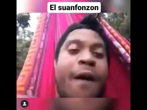 El suanfonzon