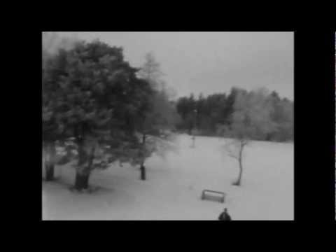 Dji F550 multicopter, Littoinen