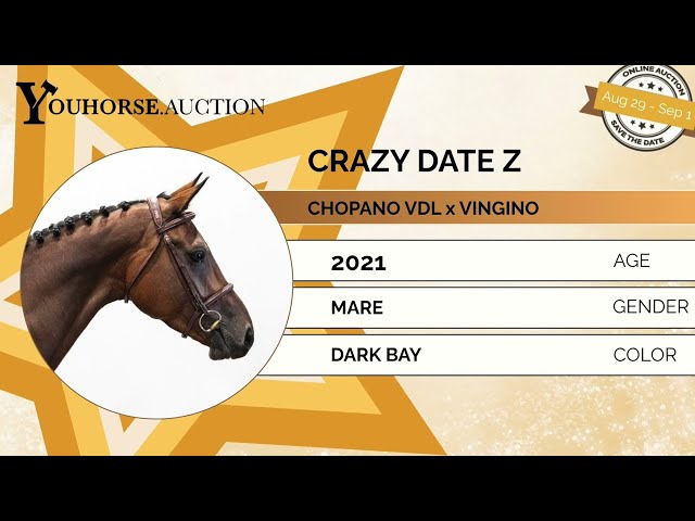 Crazy Date Z
