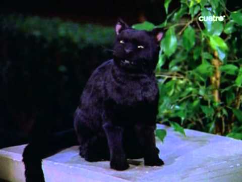 Sabrina the teenage witch 6x22 - one of the best moments of Salem Spanish