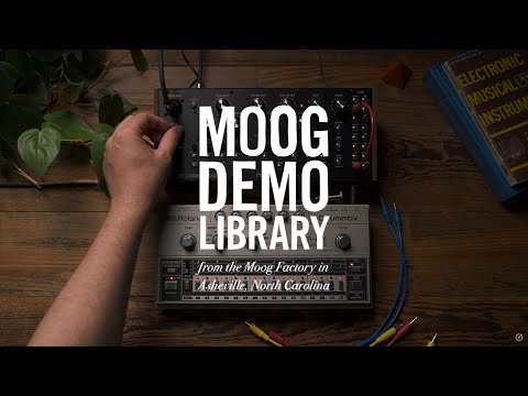 Синтезатор аналогового моделювання MOOG SPECTRAVOX