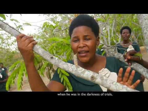 AYUBU  { Ulikuwa wapi nilipo iweka misingi ya Dunia?}