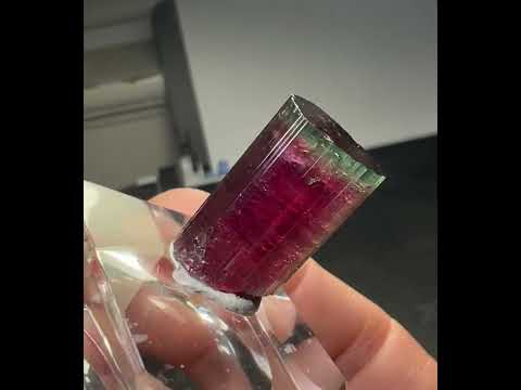 Elbaite var. Tourmaline with nice blue cap. Cruzeiro mine, Sao Jose da Safira, MG, Brazil. 8.95 gram