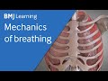 Basics of ventilation: Mechanics of breathing | BMJ Learning
