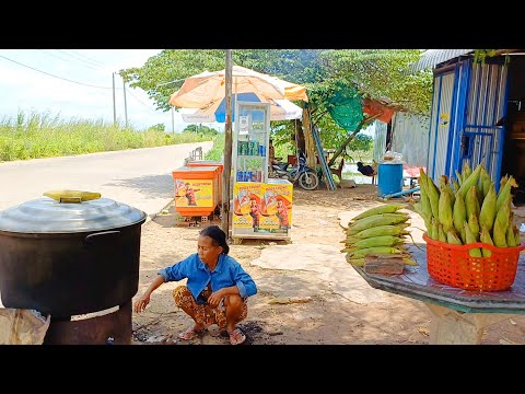 Amazing Street Food Tour in Province & City, Cambodia, Countryside Market, Best Food Compilation