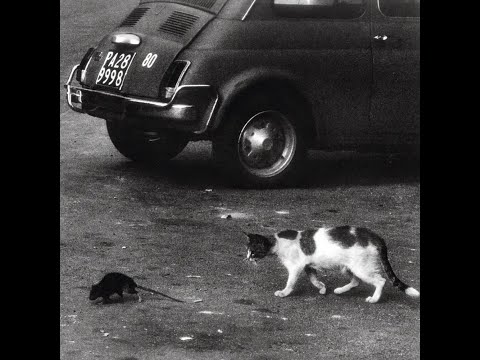 Conway the Machine & Wun Two - Palermo (EP)