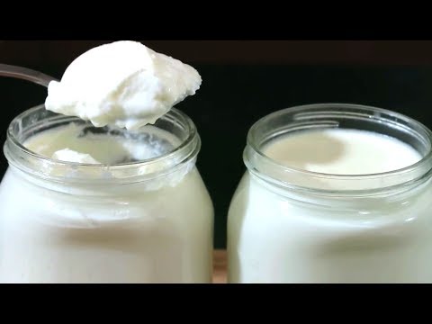 Homemade Yogurt Recipe | योगर्ट बनाये घर में आसानी से | How To Make Yogurt At Home | Curd Recipe |