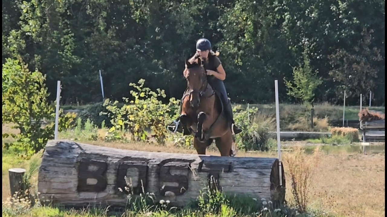 Verdi's Chilli Pepper ☆ (CHILLAX WILLI VAN'T HUKA x QUORUM DE LAUBRY) video 2