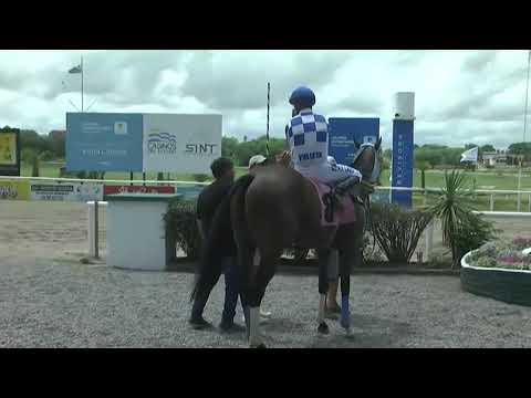 SINT COLONIA 230202 c02 1° KENNINGTON