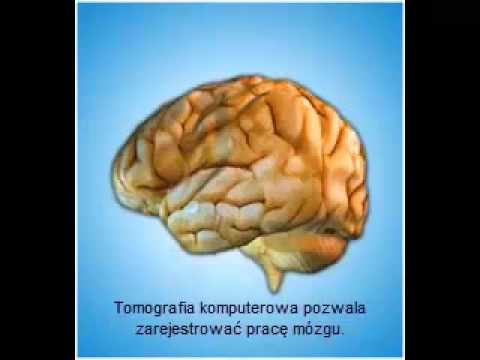 Ćwiczenia na mięśnie czworoboczny w domu Pomyśl kulturystyki pobrania