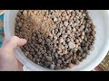 DIY Hydroponic Clay Balls  / Volcanic Pumice Pebble Cleaner