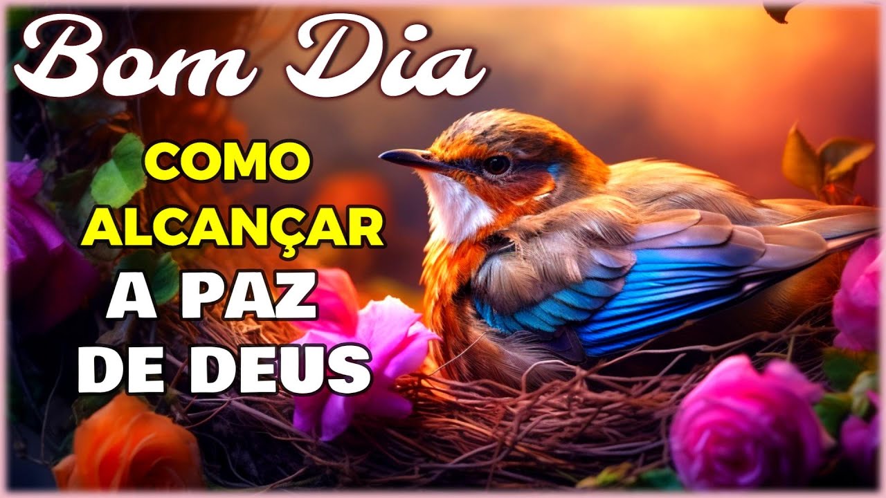 Mensagem de Bom Dia I A Paz de Deus - Como Alcançá-la ?
