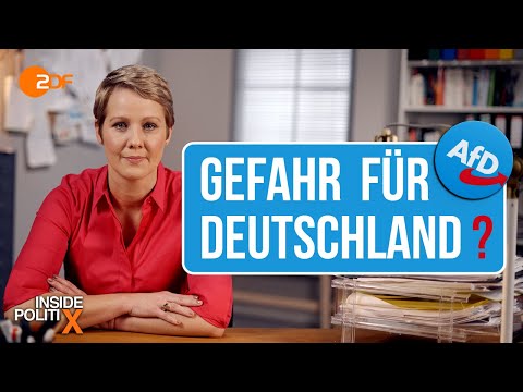 Wie gefährlich ist die AfD? | Inside PolitiX
