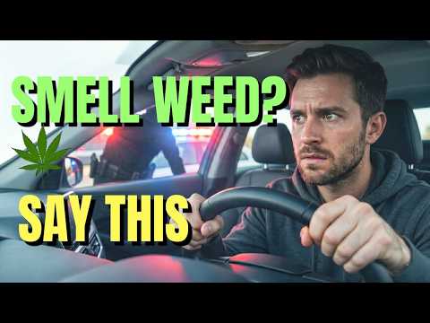 LAWYER: If Cops Say They Smell Weed, SAY THIS (2 Phrases That Protect You)