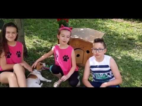 Selin, Denis and Samia and their Jack Russell