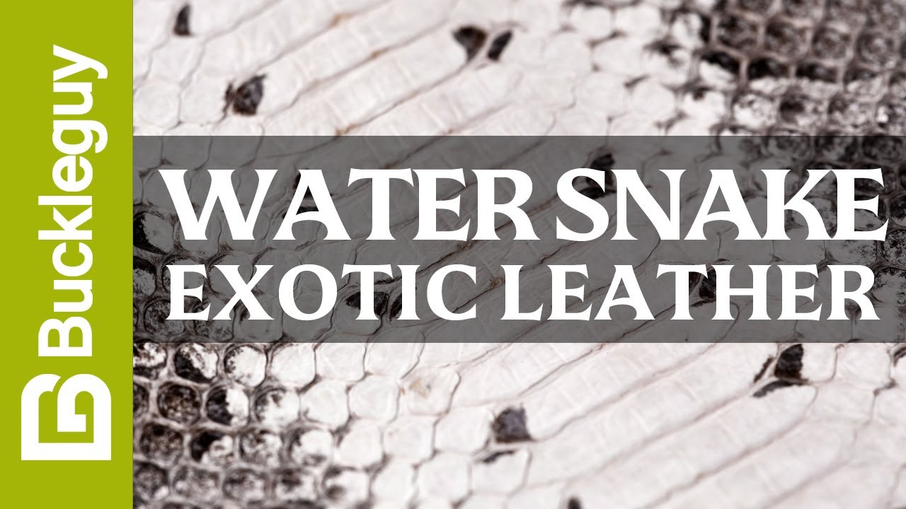 Exotic Leather, Water Snake | Full Grain Leather Demo