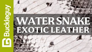 Exotic Leather, Water Snake | Full Grain Leather Demo