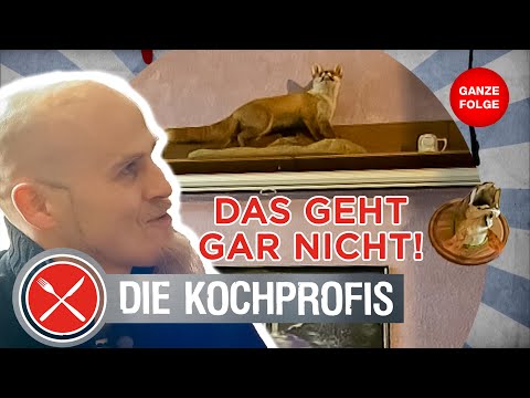 Stale and empty! Slaughterhouse in Augsburg 🙄 | The Cooking Pros - On the Job | Full Episode #02