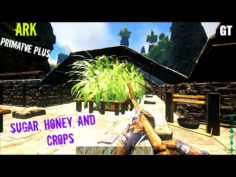 How to make SUGAR and HONEY - Primitive Plus (Part 1) - ARK: Survival Evolved