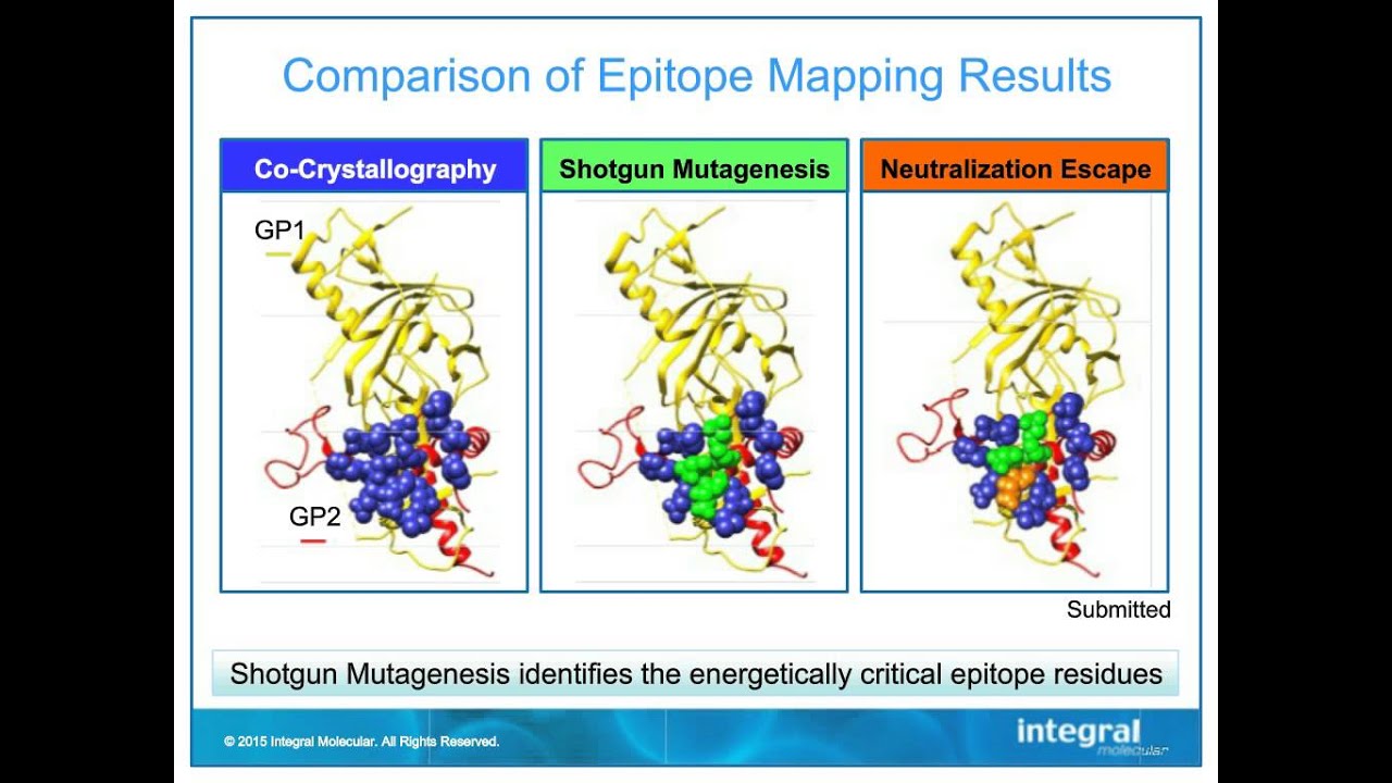 Epitope Mapping in Antibody Therapeutics and Vaccine Development: The Evolving Landscape