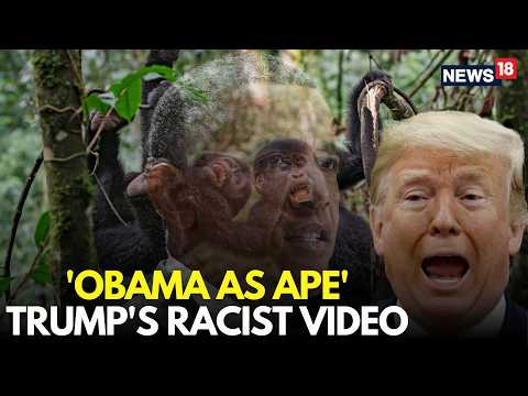 LIVE | Obamas Shown As Apes, Trump's Racist Video Sparks Outrage | Trump Latest News | N18G
