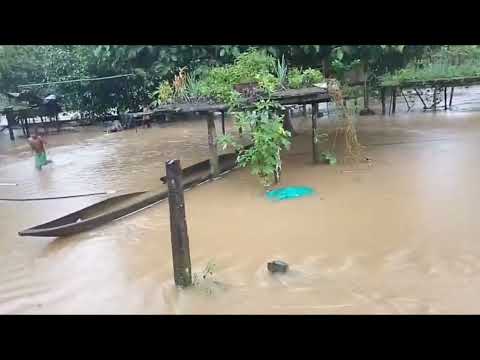 INUNDACIONES AZOTAN AL MEDIO BAUDÓ Y PONEN EN JAQUE LA SEGURIDAD ALIMENTARIA