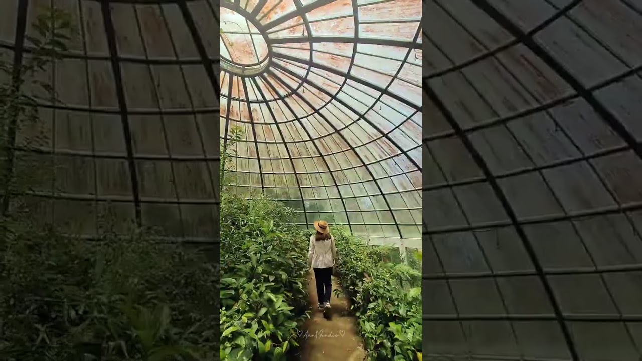 YouTube Short thumbnail