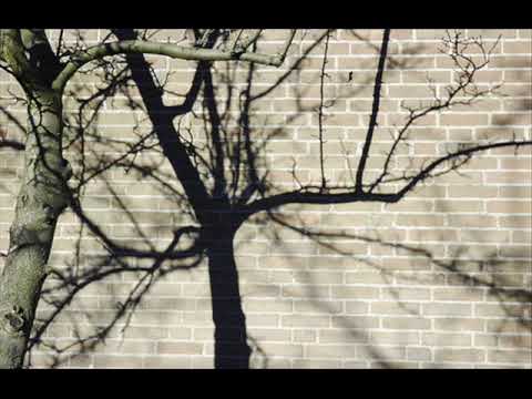 Life @ opwekking - Schitterend