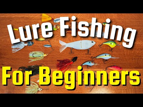 Lure Fishing for Beginners (Underwater Footage)