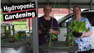 Growing Plants Without Soil: DIY Hydroponics Outdoors, Inspirational Thought