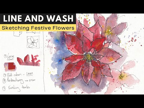 Botanical Ink and Watercolour for Beginners - How to Draw a Poinsettia